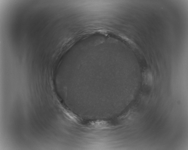 X0000066000517200603061327