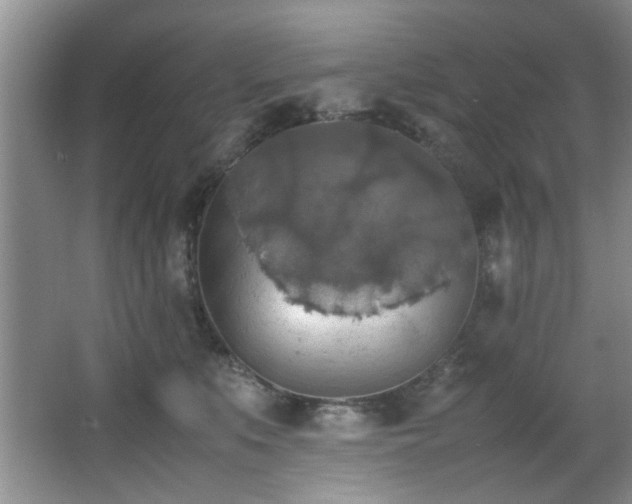 X0000066000519200603061327