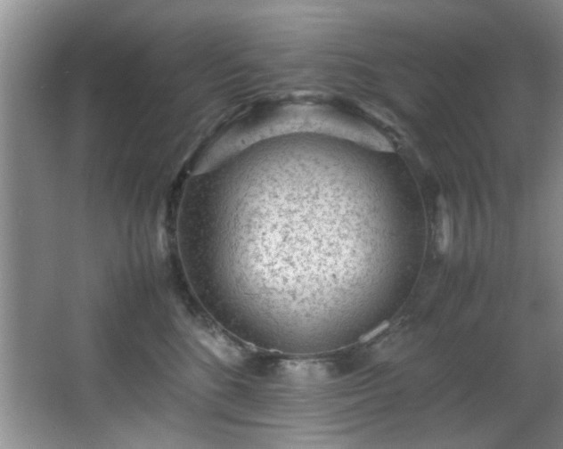 X0000066000520200603061327