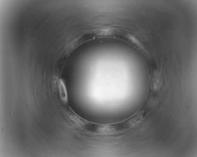 X0000066000521200603061327