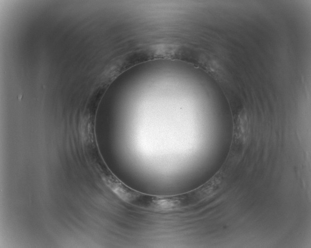 X0000066000522200603061327