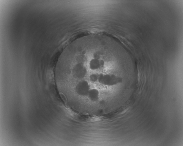 X0000066000523200603061327