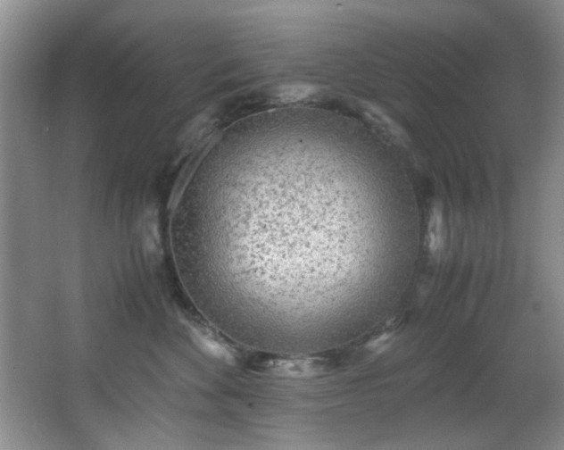 X0000066000524200603061327