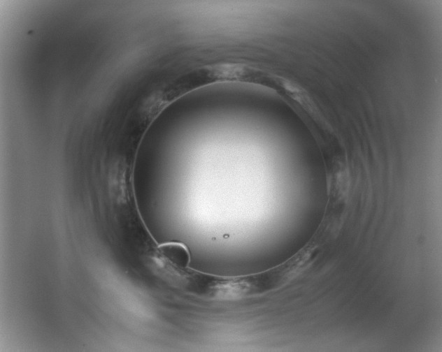 X0000066000525200603061327