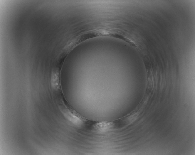 X0000066000526200603061327