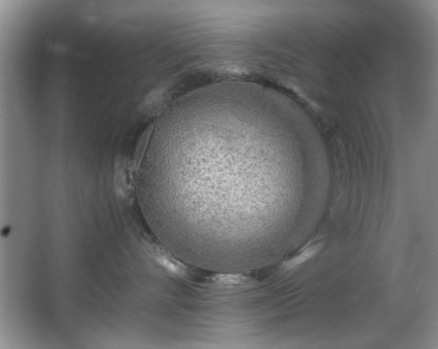 X0000066000528200603061326