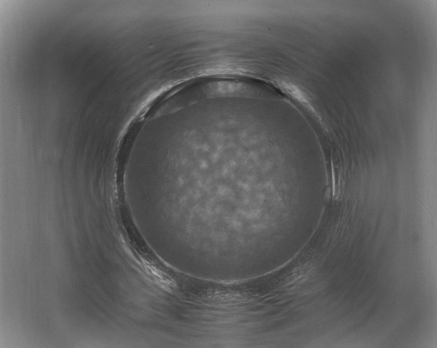 X0000066000531200603061326