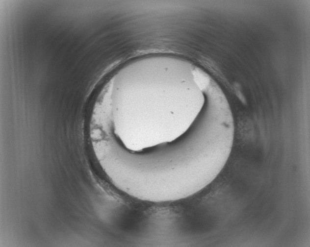 X0000066000534200603061326