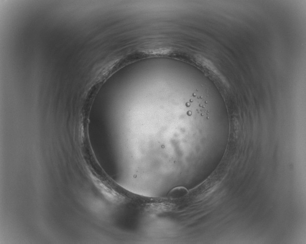 X0000066000541200603061326