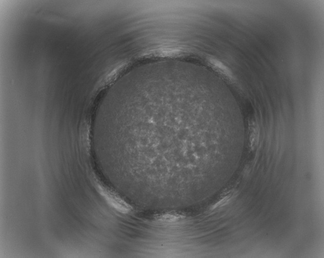 X0000066000542200603061326