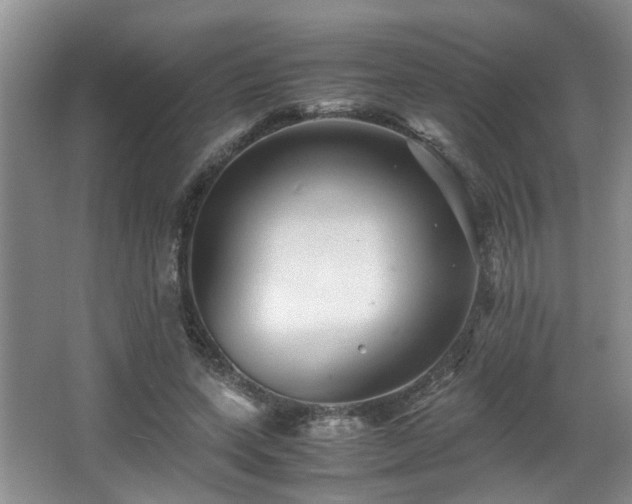 X0000066000543200603061326