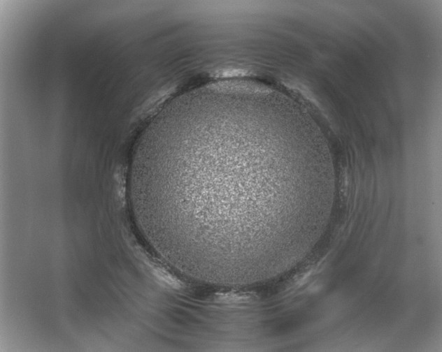 X0000066000545200603061326