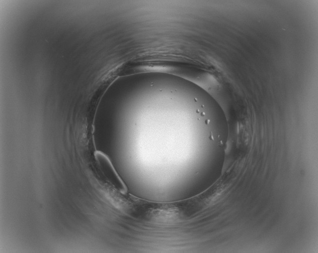 X0000066000548200603061326