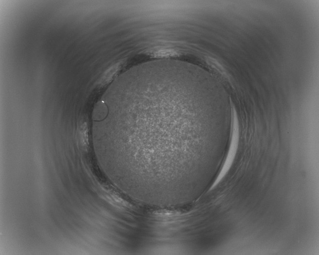 X0000066000549200603061326