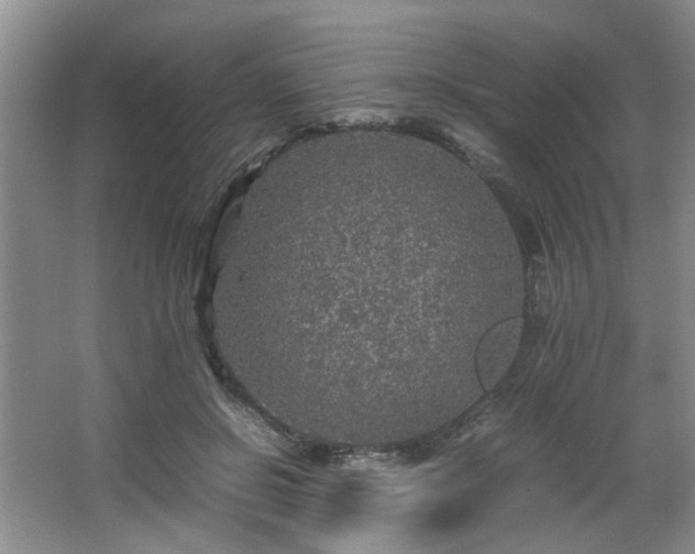 X0000066000550200603061326