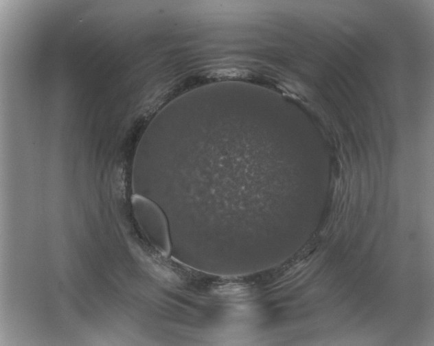 X0000066000551200603061326