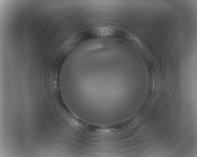 X0000066000553200603061326