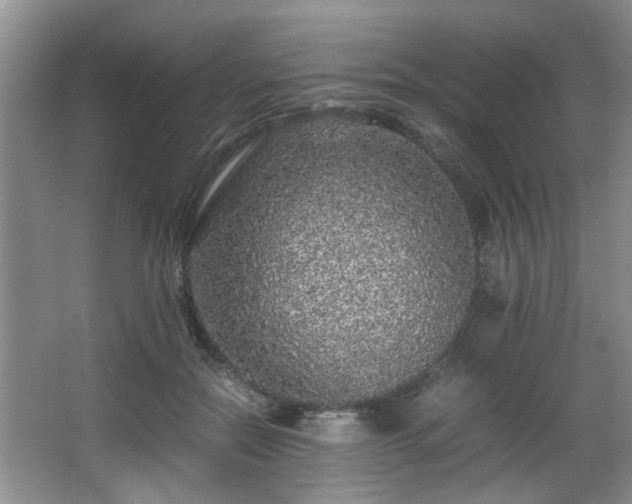 X0000066000554200603061326