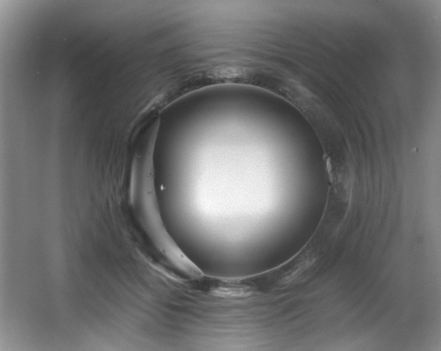 X0000066000556200603061326