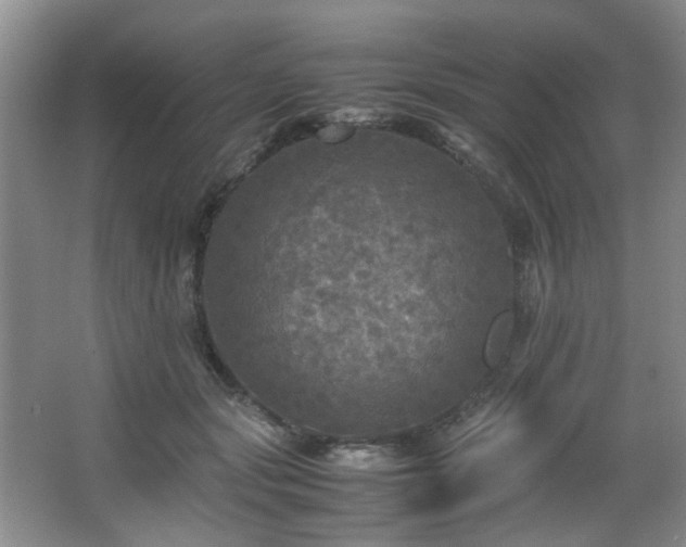 X0000066000557200603061326