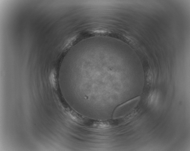 X0000066000559200603061326