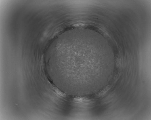 X0000066000561200603061326