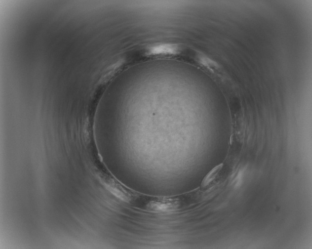 X0000066000563200603061326