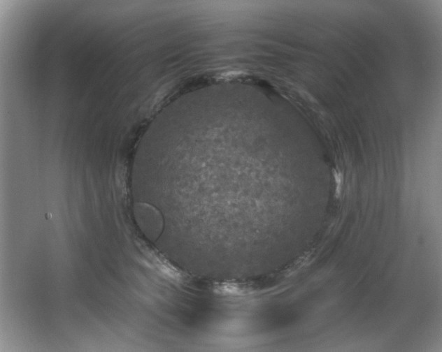 X0000066000565200603061326