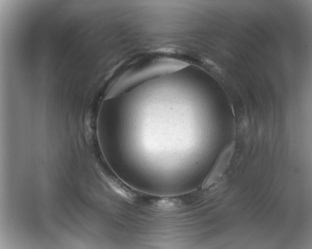 X0000066000566200603061326