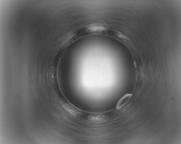 X0000066000567200603061326