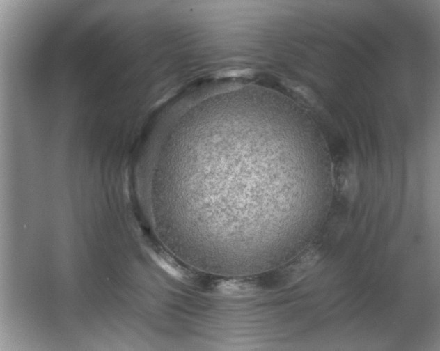 X0000066000568200603061326