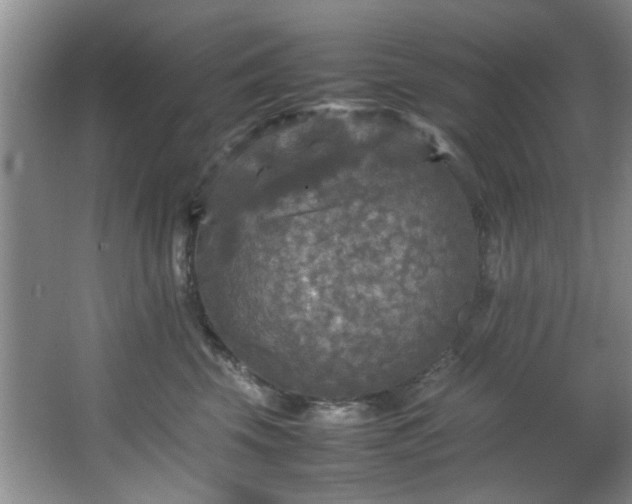 X0000066000569200603061326