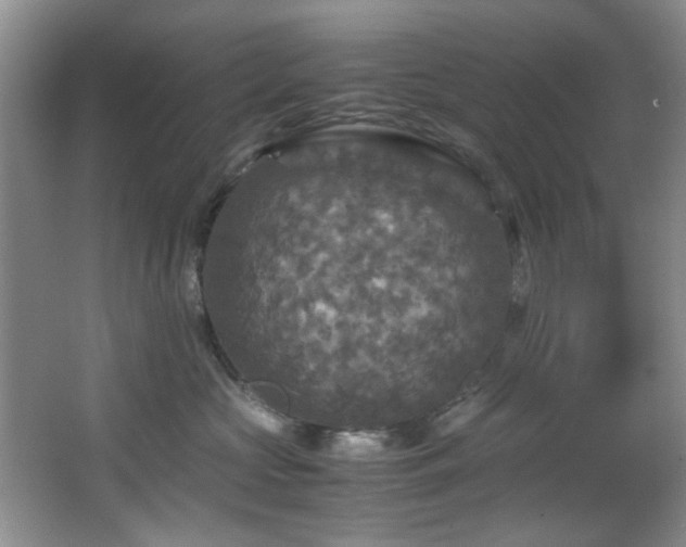 X0000066000573200603061326