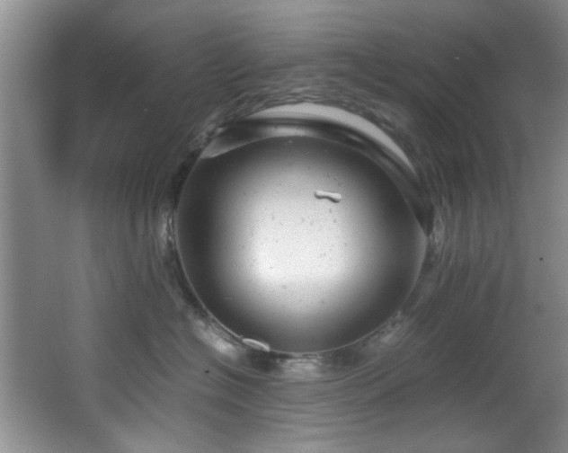 X0000066000574200603061326