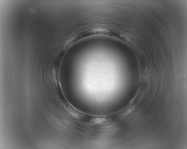 X0000066000575200603061326