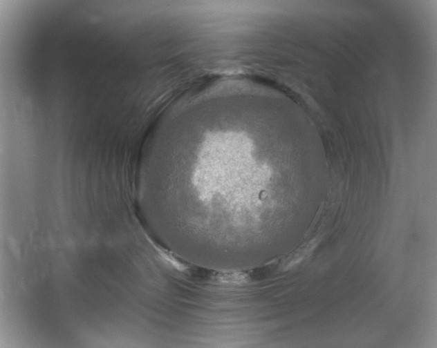 X0000066000576200603061326