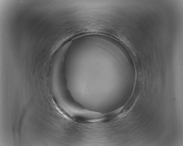 X0000066000577200603061326