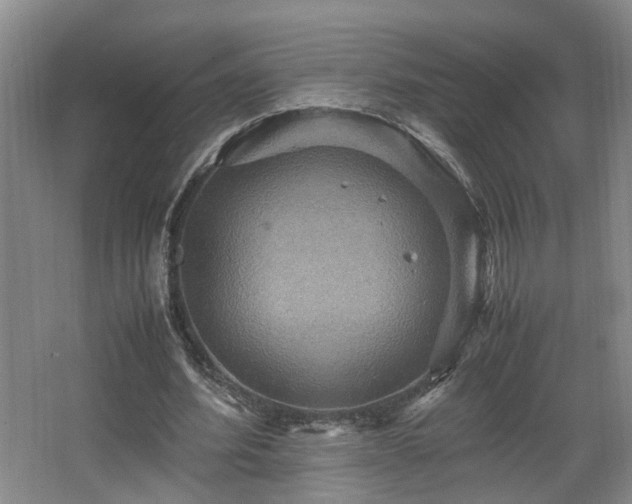 X0000066000580200603061326