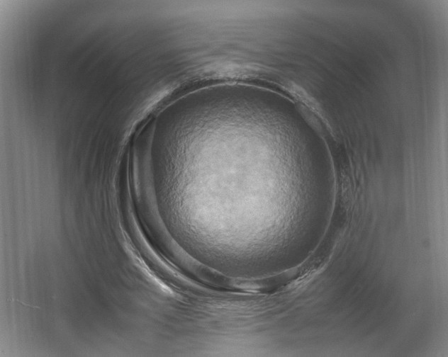 X0000066000581200603061326