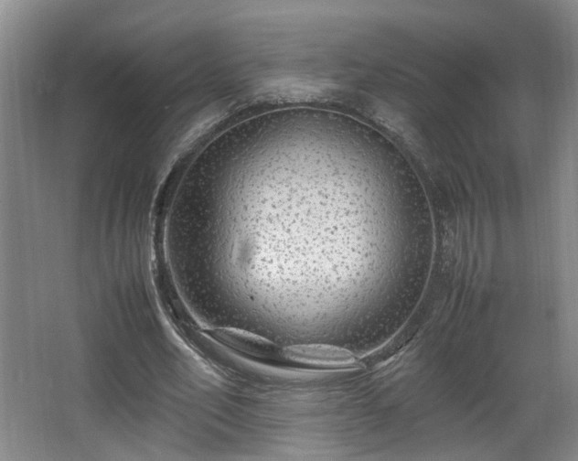 X0000066000582200603061326