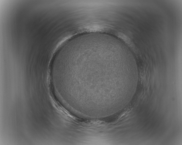 X0000066000583200603061326