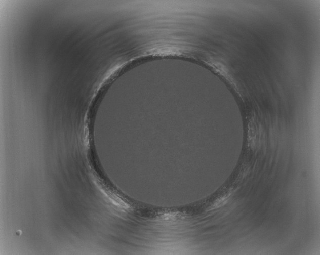 X0000066000584200603061326