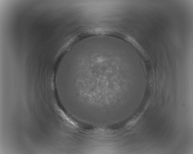 X0000066000585200603061326