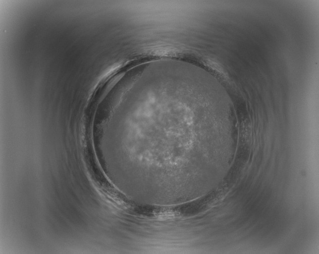 X0000066000587200603061325