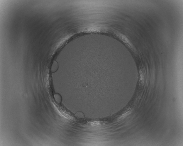 X0000066000588200603061325