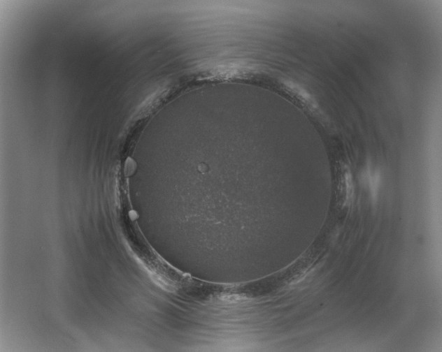 X0000066000590200603061325