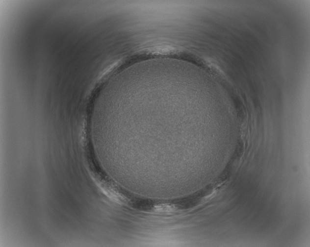 X0000066000591200603061325