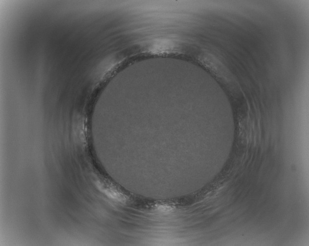 X0000066000592200603061325