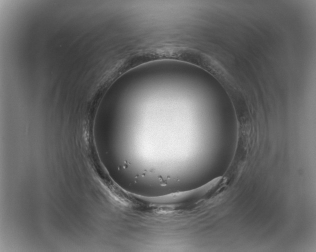 X0000066000593200603061325