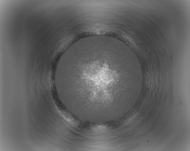 X0000066000594200603061325